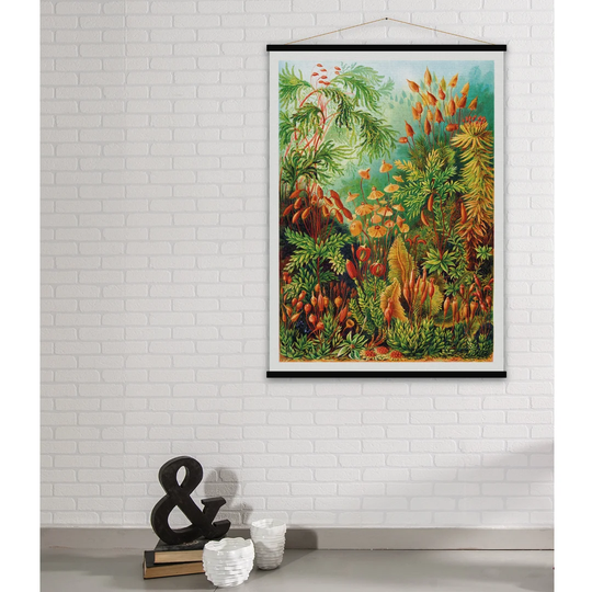'Muscinae' Graphic Art Print Poster