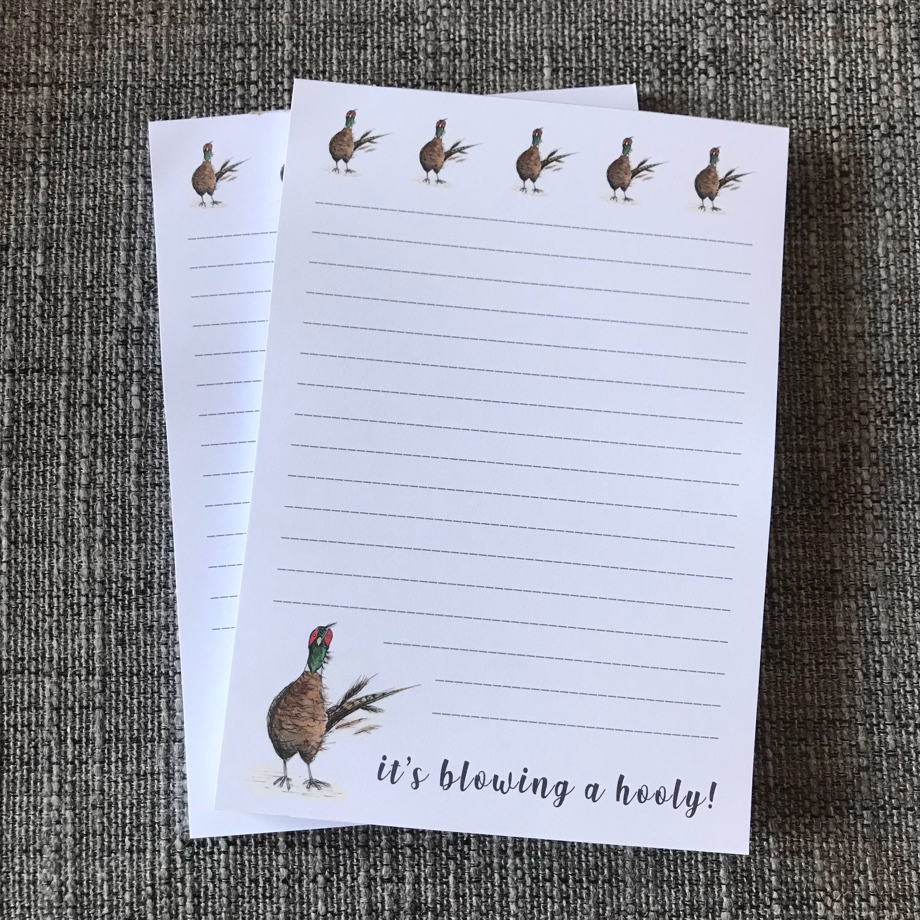 Pheasant A5 Lined Writing Paper Pad Notepad Notes Catherine Redgate Stationery Organise Bujo Office To Do List Letter Write Scottish Bird