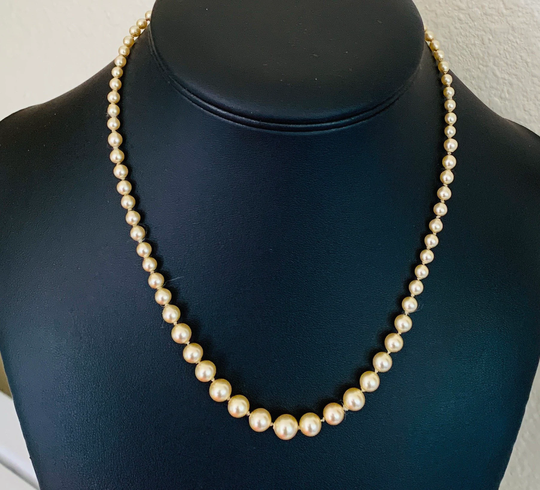 17 1/2 Inch Graduated Champagne Glass Pearl Bead Necklace With Silver Tone Clasp
