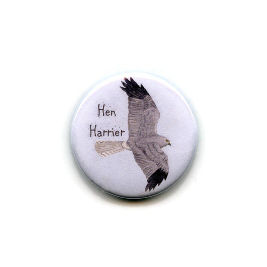 Hen Harrier Magnet, Bird Of Prey, 38mm Round Button Fridge Memo Board
