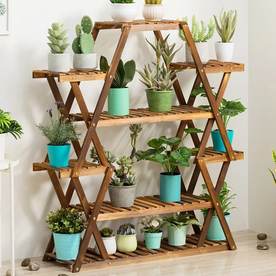 D'Orlando Plant Support