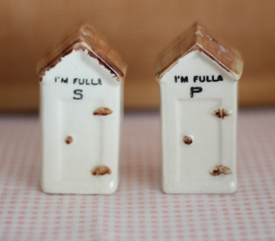 Ceramic White With Brown Roof Outhouse Salt & Pepper Shakers "I'm Fulla S" P