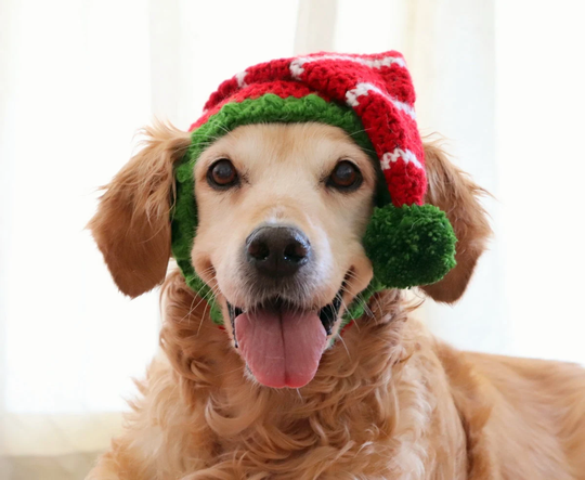 Elf Hat For Dogs, Dog Hat, Holiday Christmas Large Breed