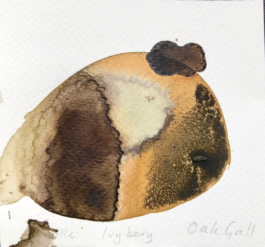 Natural Botanical Ink