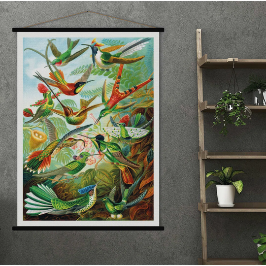 'Trochilidae' Graphic Art Print Poster