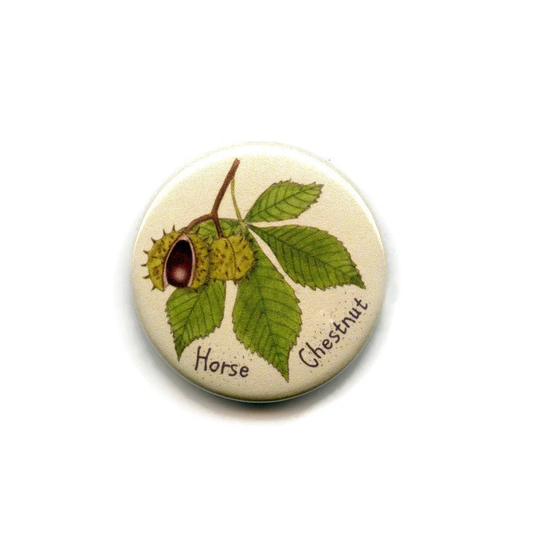 Horse Chestnut Leaves Fridge Magnet, 38mm Round Button Tree Magnets, Nuts, Fruits, Berries, Conkers