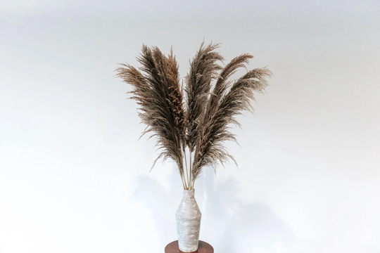 10 Stem Dark Grey Natural Fluffy Pampas Grass; Trending Home Decor, Modern Boho Chic Wedding Flowers