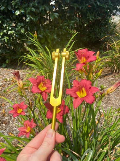 Solfeggio 174 Hz Tuning Fork - Carry Bag & Striker, Sound Healing, Energy Healing