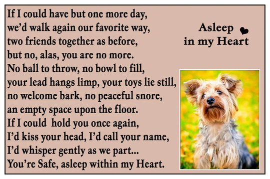 Yorkshire Terrier Dog Flexible Fridge Magnet Pet Loss Bereavement Rainbow Bridge Gift