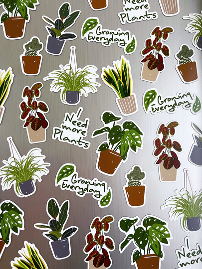 x8 Houseplant Magnet Set