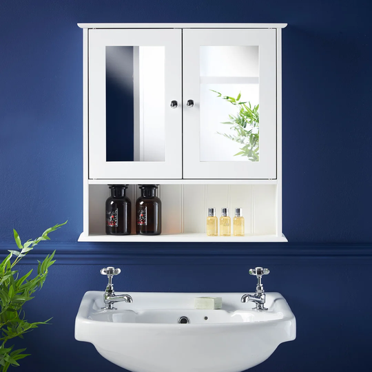 Omari 56cm x 58cm Surface Mount Mirror Cabinet