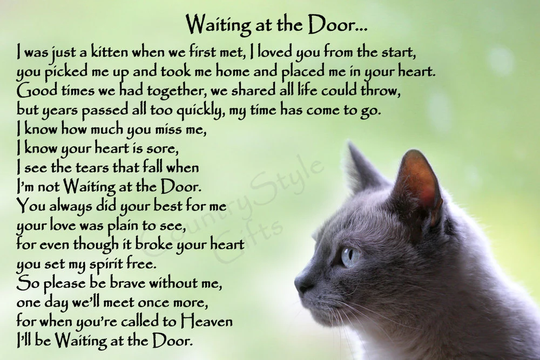 Grey Cat Memorial Rainbow Bridge Bereavement Sympathy Gift Keepsake Plaque