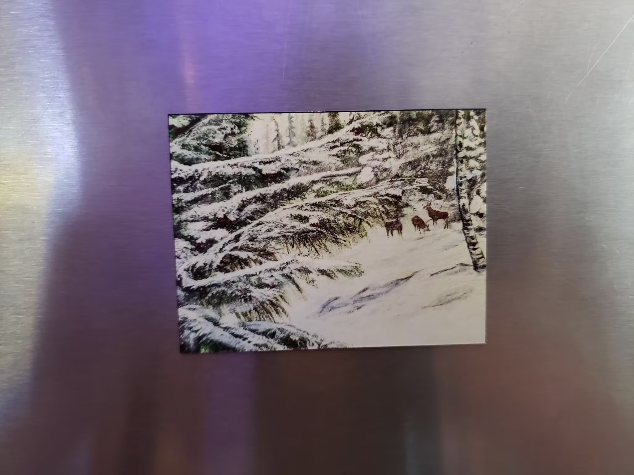 Pine Tree Winter Scene With Deer Magnet, Snow Art, Wildlife Painting, Animal Gifts For Hunters, Nature Fridge Magnet
