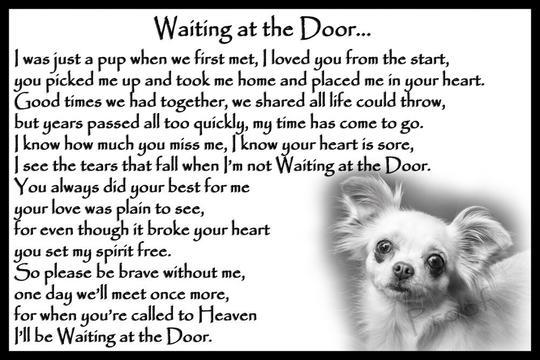 Chihuahua Dog Memorial Fridge Magnet Pet Loss Bereavement Gift
