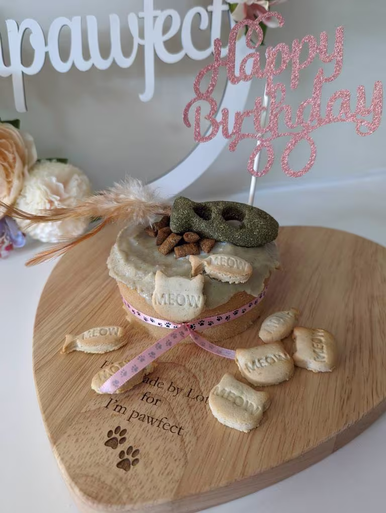 Cat Birthday Cake For Cats