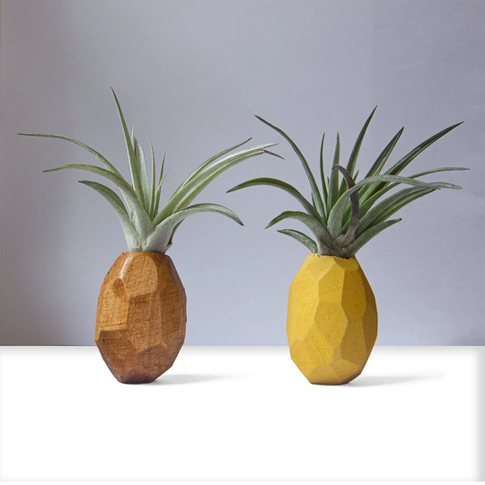 Pineapple Air Plant Holder, Airplant, Geometric Plant, Pot, Wooden Planter, Magnet