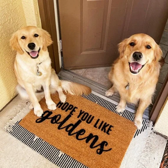 Hope You Like Goldens Doormat, Golden Retriever Dog Pet Door Mat, Outdoor Welcome Mat Rug, Print Paw Lover, Animal Puppy Gift