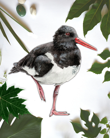 Coastal Bird Decal, Stickers, Oyster Catcher, Decal Vinyl Wall Sticker, Decor, Stickers Birds