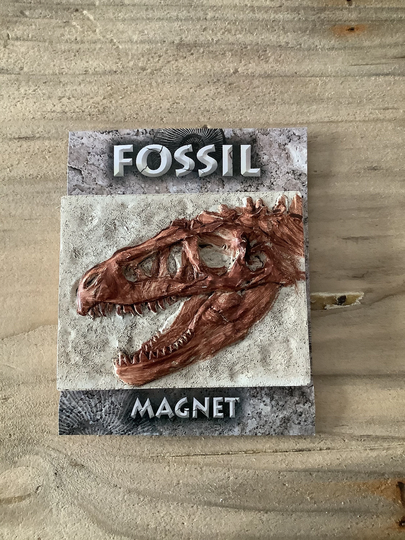 Tyrannosaurus Rex Skull Fossil Prehistoric Fridge Magnet