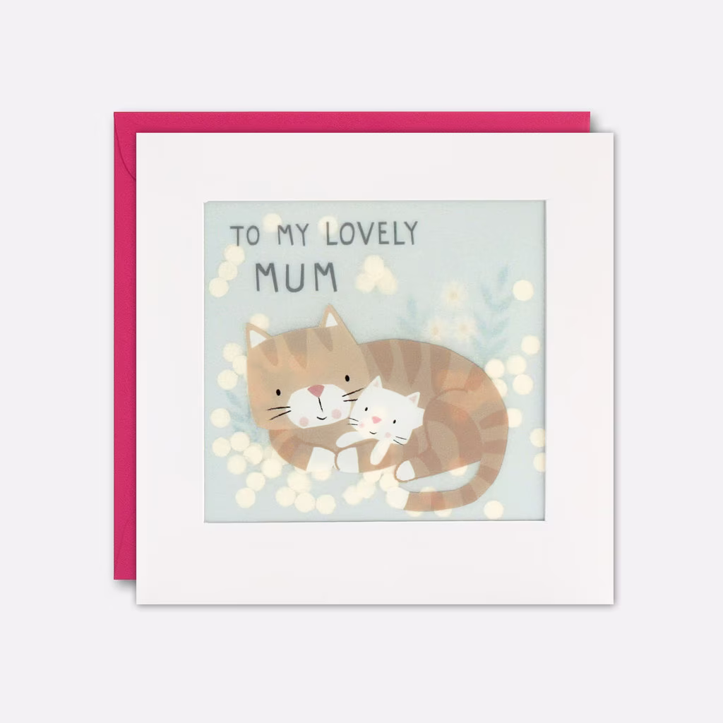 Cats Lovely Mum Mother's Day Card With Paper Confetti - Shakies By James Ellis