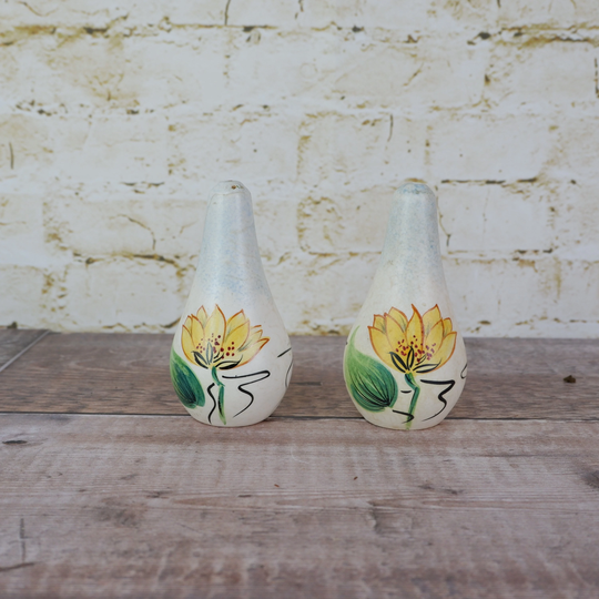 Vintage Ceramic Salt & Pepper Pots By E Radford