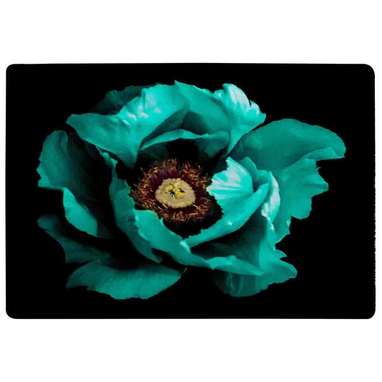 Harden Cyan Peony Flower Designer Shaggy Black/Blue Rug