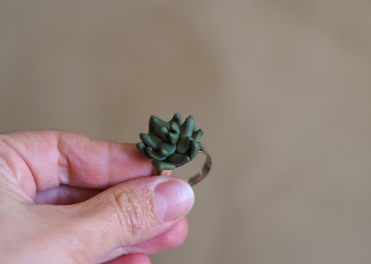 Clay Succulent Ring, Terrarium Jewelry, Miniature Plant Lady Ring Adjustable, Botanical Women, Southwestern Style