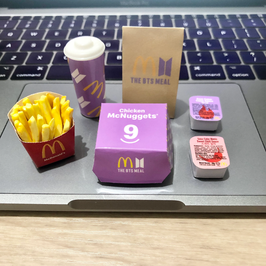Miniature Handmade Refrigerator Magnet Bts Meal Mcdonalds With French Fries 6Pc