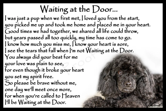 Black Poodle Pet Dog Memorial Rainbow Bridge Sympathy Gift