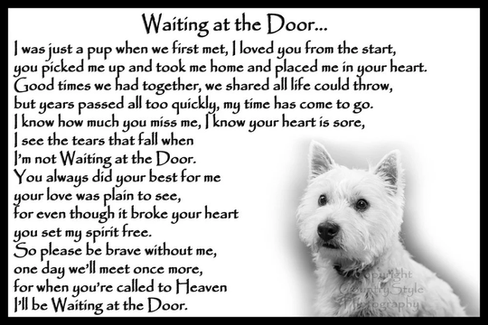 West Highland White Terrier Westie Memorial Magnetic Plaque Pet Loss Bereavement Gift