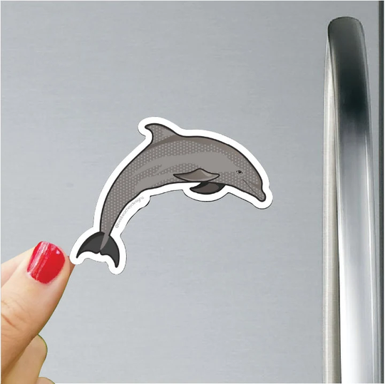 Dolphin Magnet