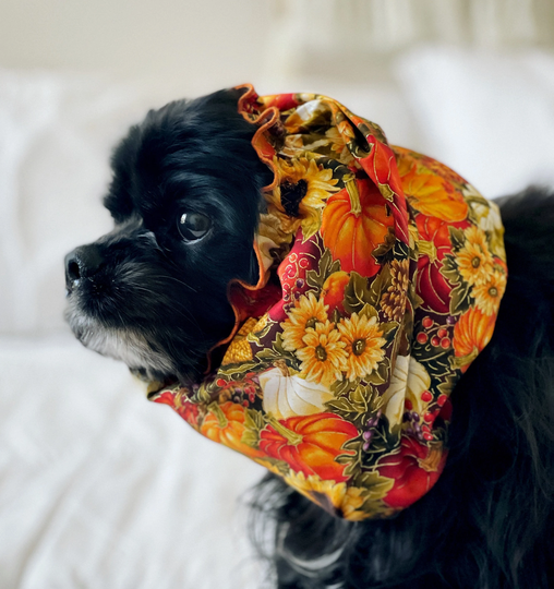 Fall Harvest Dog Snood, Cotton Pet Cavalier King Charles Cocker Snood