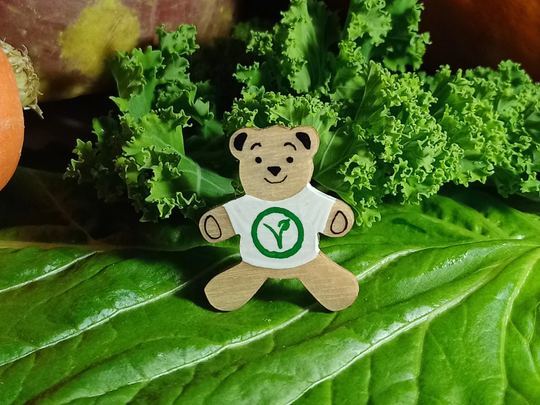 Vegan Pin, Handmade Gift, Teddy Bear Brooch, Stocking Filler, Magnet, Plant Powered, Present, Small Cute Veganuary Badge
