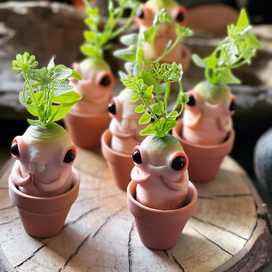 Spudkin Of Spring