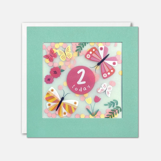 Age 2 Butterflies Birthday Card With Paper Confetti - Shakies By James Ellis