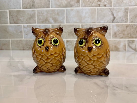 Retro Owl Salt & Pepper Shakers