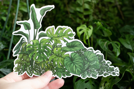Tropical Greenery Sticker, Plant Monstera & Philodendron Houseplant Art, Nalgene Room Aesthetic Decor
