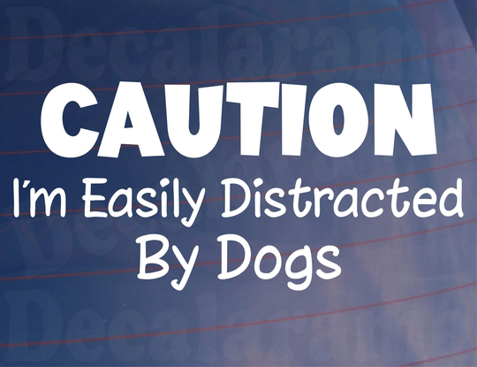 Car Sticker I'm Easily Distracted By Dogs Novelty Funny Van Window Bumper Boot Door Decal Sadnick Gifts