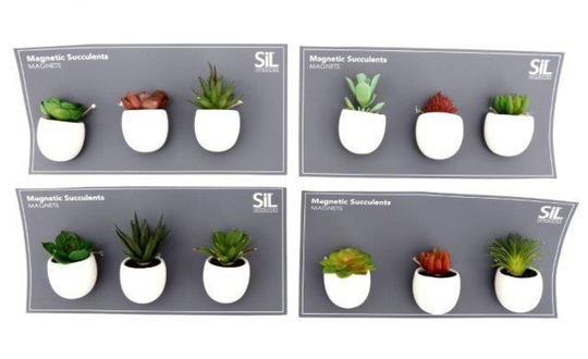 Set Of Fridge Magnets With Succulents in Pots - Random Selection