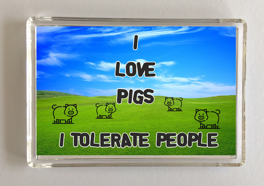 I Love Pigs Tolerate People, Novelty Fridge Magnet, Ideal Present/Gift For Birthday Christmas, Pig Gift, Present For Lover