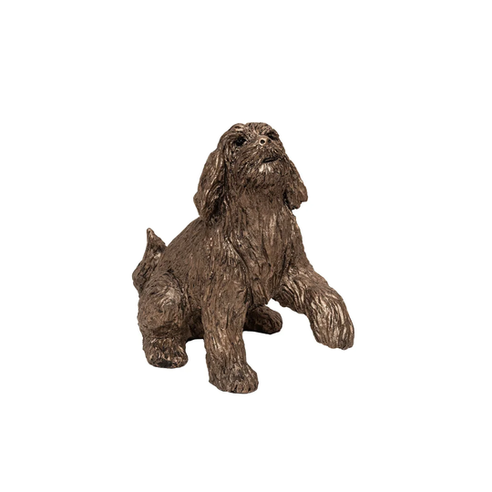 Milo Labradoodle Shake Hands
