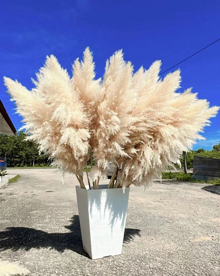 20Pcs Tall Pampas Grass 3-4Ft | Grand Sale Dry Florals For Home Decor Boho Wedding Arch Floral Arranging Pampas Bouquet