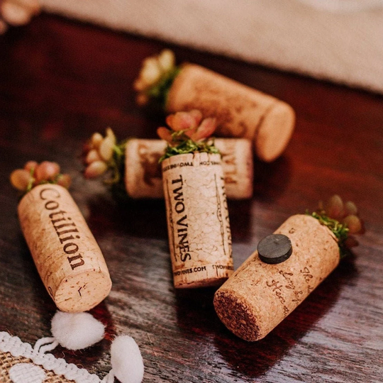 Rustic Wedding Favors For Guests - Faux Succulent Wine Cork Fridge Magnets Refrigerator Magnet Guest Gift