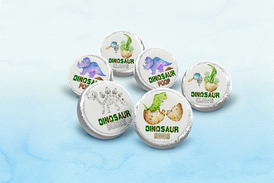 Dinosaur Birthday Party, Party Stickers, Eggs, Fossils, Dino Dig Bones, Poop, Claw, Bones & Egg Stickers