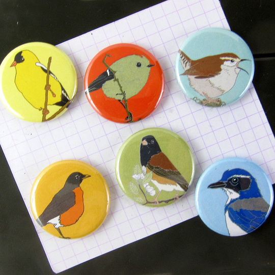 Western Backyard Bird Magnets | Boxed Set Of 6 Cute Nature Outdoors Birder Songbird Wildlife Stocking Stuffer Fridge Magnet Birdwatcher