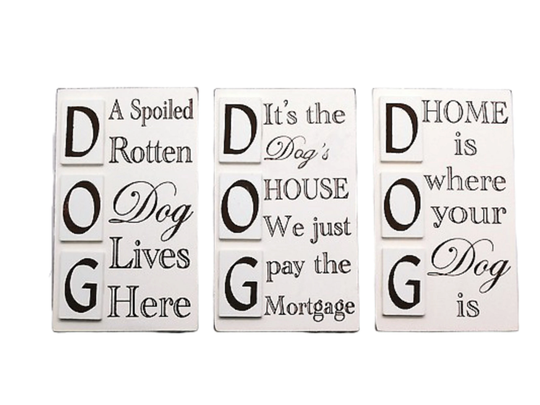 Dog Fridge Magnets Humorous Funny 3 Designs Cream & Brown Lover Gift Mans Best Friend Ideal Bff Fathers Day Kitchen Decor