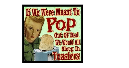 Funny Retro Back To School Gifts Pop Out Of Bed Toaster Kitchen Refrigerator Magnet
