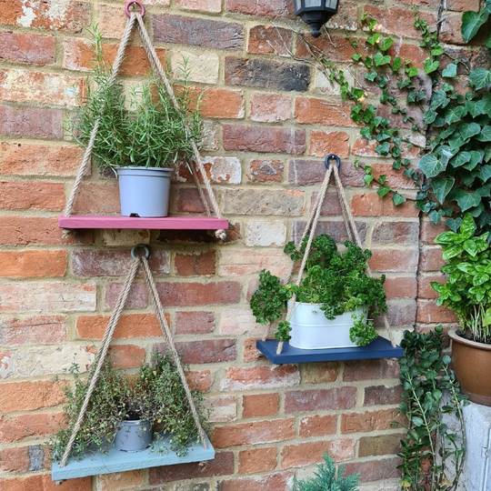 Wooden Hanging Rope Shelves Painted in Pink Blue & Grey - Herb Plant Shelves Bathroom Bedroom Kitchen Garden