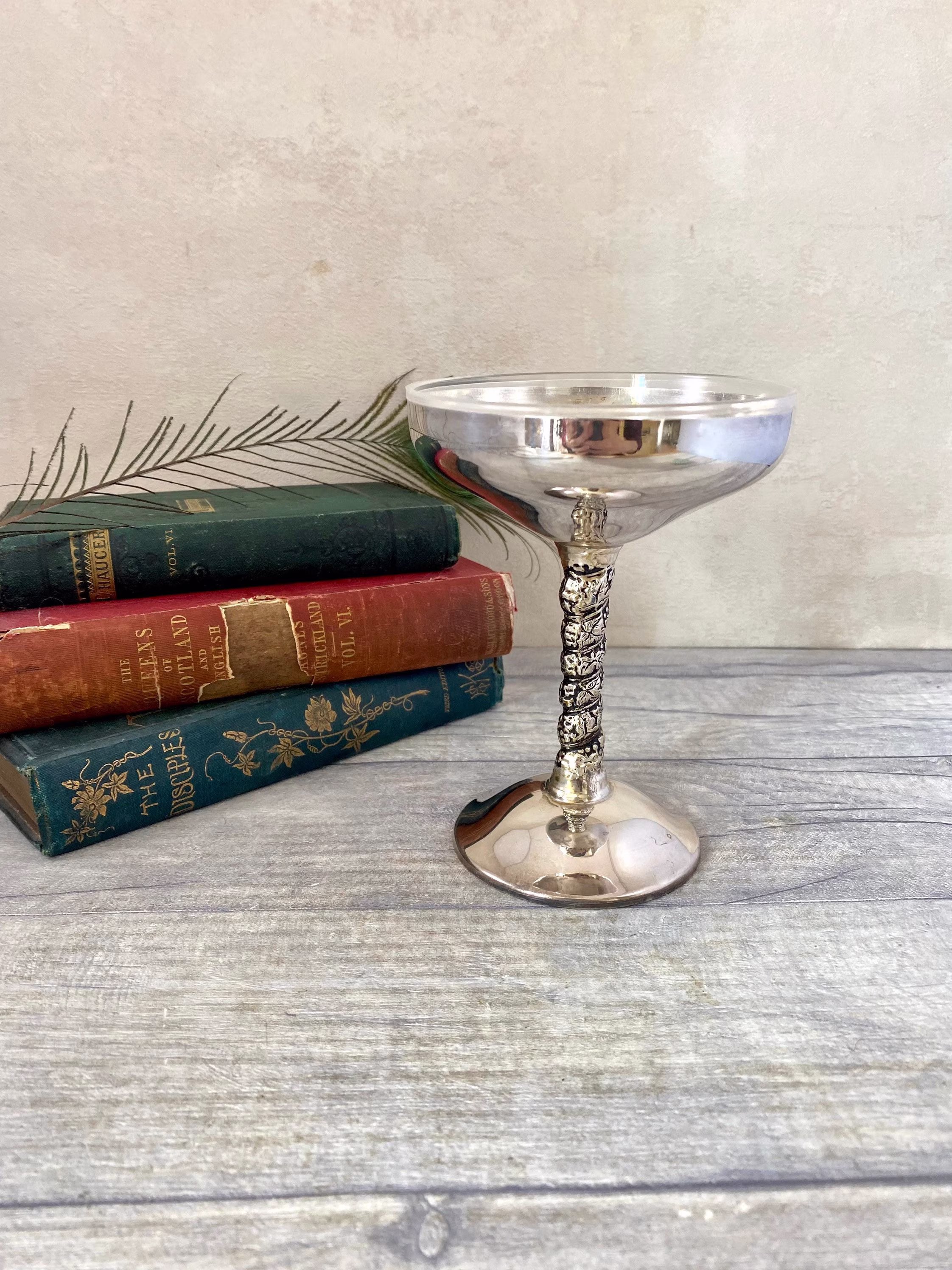 Vintage Spanish Silver Plate Champagne Cups/Coupe Glass With Grapevine Stem & Plastic Insert Ice Cream Or Sorbet Serving