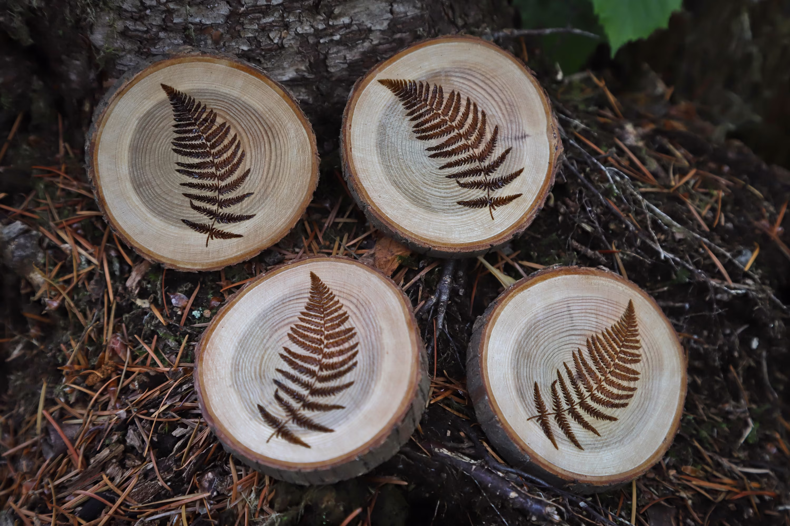 Live Edge Engraved Coaster/ Wood Wedding Gift/ Laser Engraved/ Coaster Set/ Fern/ Decor/ Handcrafted Wooden Coasters/Pnw/Home Decor